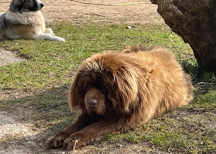 Maison Bardoz * Le Clerjus